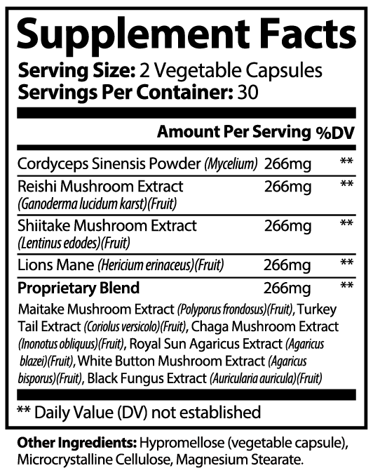HER Mushroom 10X | Adaptogenic Super Mushroom Blend